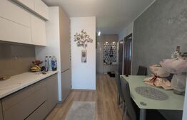Apartament cu 3 camere și 2 băi, complet renovat - Rogerius