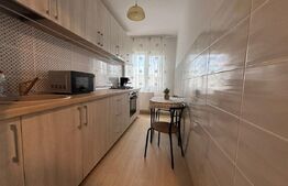 Apartament cu o camera, modern de inchiriat, zona Rogerius, 28mp
