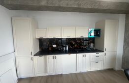 Apartament de vanzare, 2 camere, 50,36 mp - Baile Felix 