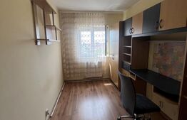 Apartament tip PB de închiriat - Nufărul 
