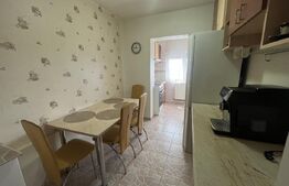 Apartament tip PB de închiriat - Nufărul 