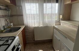 Apartament tip PB de închiriat - Nufărul 