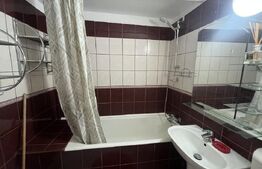 Apartament tip PB de închiriat - Nufărul 
