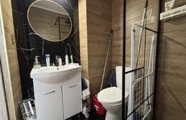 Apartament cu 1 camera de inchiriat, 22 mp - Rogerius