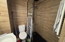 Apartament cu 1 camera de inchiriat, 22 mp - Rogerius
