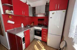Apartament cu 1 camera de inchiriat, 22 mp - Rogerius