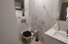 Inchiriere studio, central in Oradea