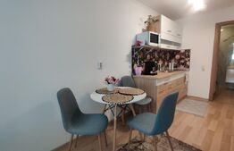 Inchiriere studio, central in Oradea