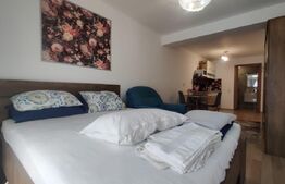 Inchiriere studio, central in Oradea