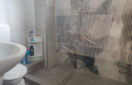 Apartament 4 camere, pe 2 niveluri,  Sanmartin.