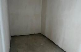 De vanzare casa in Santandrei cu garaj si bucatarie de vara 2 fronturi la strada