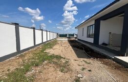 De vanzare casa in Santandrei cu garaj si bucatarie de vara 2 fronturi la strada