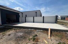 De vanzare casa in Santandrei cu garaj si bucatarie de vara 2 fronturi la strada