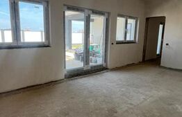 De vanzare casa in Santandrei cu garaj si bucatarie de vara 2 fronturi la strada