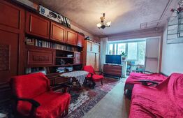 Apartament 2 camere, 50 mp, Calea Aradului,orientare dubla