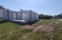 Casa de vanzare, la rosu, 3 camere, 90 mp, in Les
