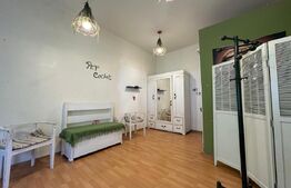 Spatiu Comercial Cochet, Teatru Oradea, 17mp