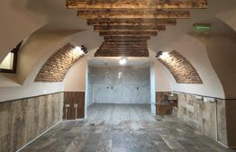 Spatiu comercial ultracentral, 200 mp, terasa optional