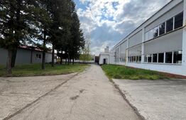 Hala de inchiriat pentru productie sau depozitare, situata la 50 km de Oradea