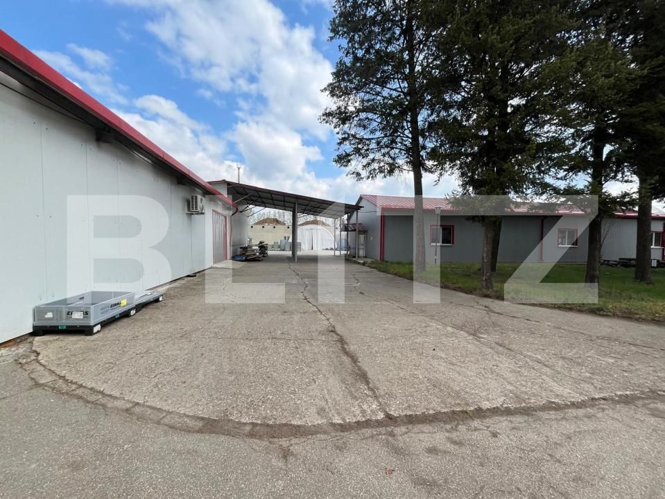 Spațiu comercial de închiriat Oncea - 198245SIC | BLITZ Oradea | Poza19