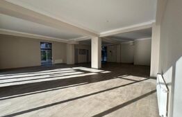 Spatiu comercial central, 161 mp, open space, 2 locuri de parcare