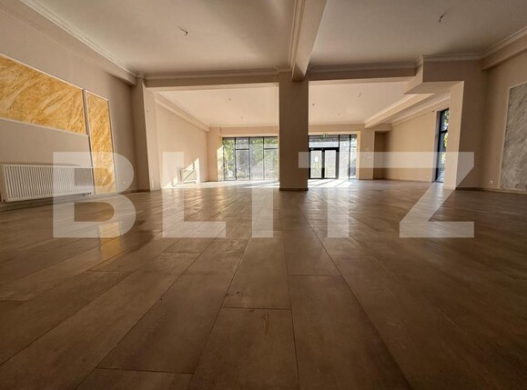 Spațiu birouri de închiriat Central - 198298SIB | BLITZ Oradea | Poza1