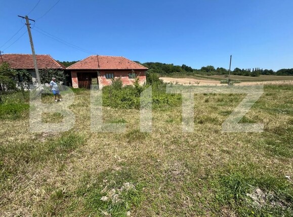 Casa de vânzare 3 camere Curatele - 199274CV | BLITZ Oradea | Poza2