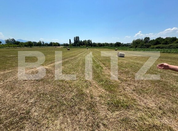 Casa de vânzare 3 camere Curatele - 199274CV | BLITZ Oradea | Poza3