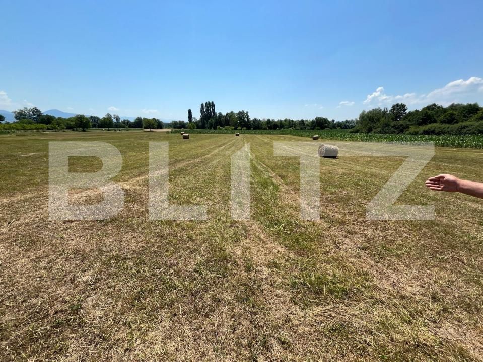 Casa de vânzare 3 camere Curatele - 199274CV | BLITZ Oradea | Poza3