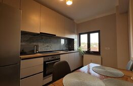 Apartament central, 2 camere, totul nou, renovat, mobilat și utilat 