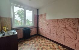Apartament de vanzare, 2 camere, 46 mp, zona Gării