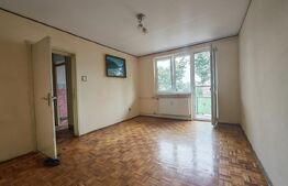 Apartament de vanzare, 2 camere, 46 mp, zona Gării