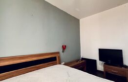 Calea Aradului, închiriere apartament 3 camere, etaj 1, modern