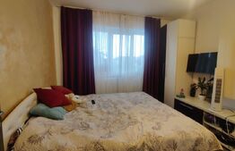 Apartament cu 2 camere, decomandat, Nufarul