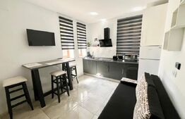 Apartament de inchiriat, 31 mp, zona Centru