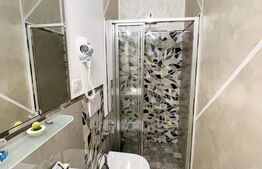 Apartament de inchiriat, 31 mp, zona Centru