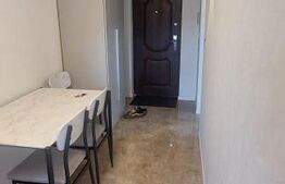 Apartament de inchiriat, 1 camera, 36 mp, zona Cazaban