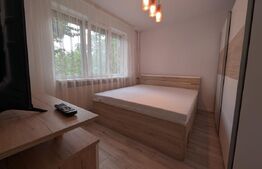 Apartament 2 camere de închiriat, zona Gării 