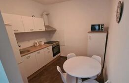 Apartament la casa de inchiriat, 3 camere, 65 mp, cu mansarda, zona Ultracentral