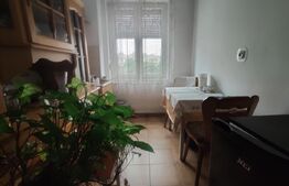 Apartament 2 camere, 50 mp, zona Dacia