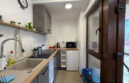Apartament modern de inchiriat la casa, 37mp utili, zona Nymphea