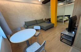 Apartament modern de inchiriat la casa, 37mp utili, zona Nymphea