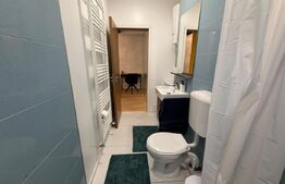 Apartament modern de inchiriat la casa, 37mp utili, zona Nymphea