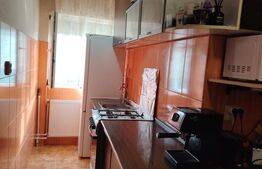 Apartament de vanzare, cu 3 camere, Nufarul