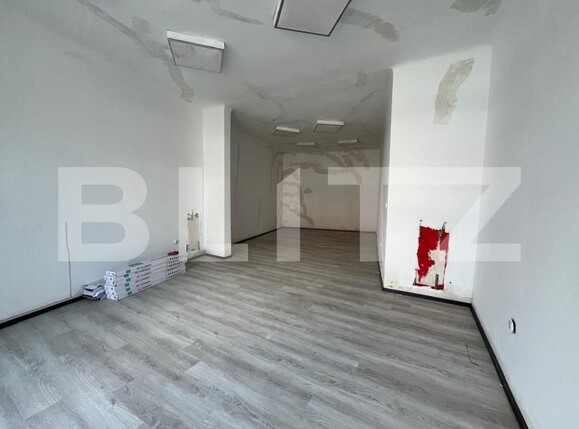 Spațiu comercial de închiriat Aleşd - 201663SIC | BLITZ Oradea | Poza2