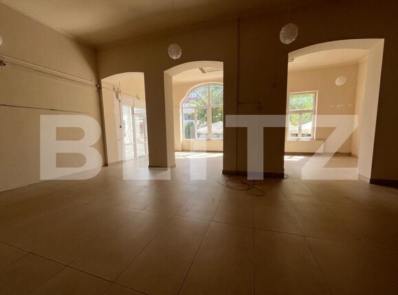 Spațiu comercial de închiriat Aleşd - 202427SIC | BLITZ Oradea | Poza10