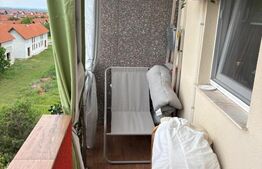 Apartament 2 camere, Paleu