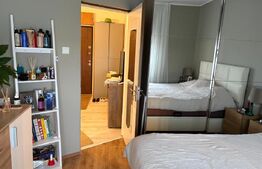 Apartament 2 camere, Paleu