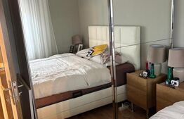 Apartament 2 camere, Paleu