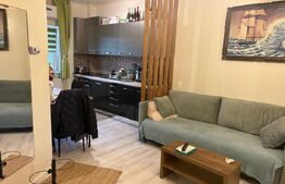 Apartament 2 camere, Paleu